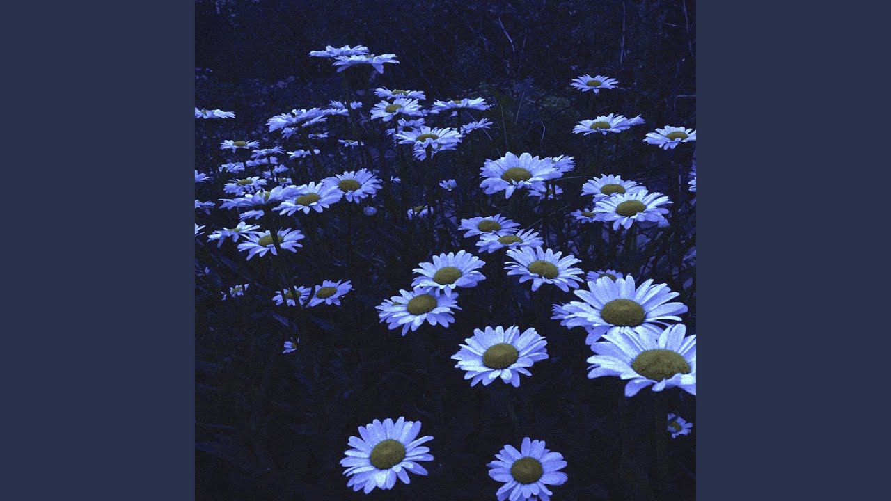 Shut up, you're beautiful (Slowed + Reverb)