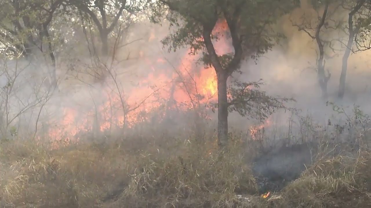 Dangerous Wildfire Outbreak in Large Scale Farm