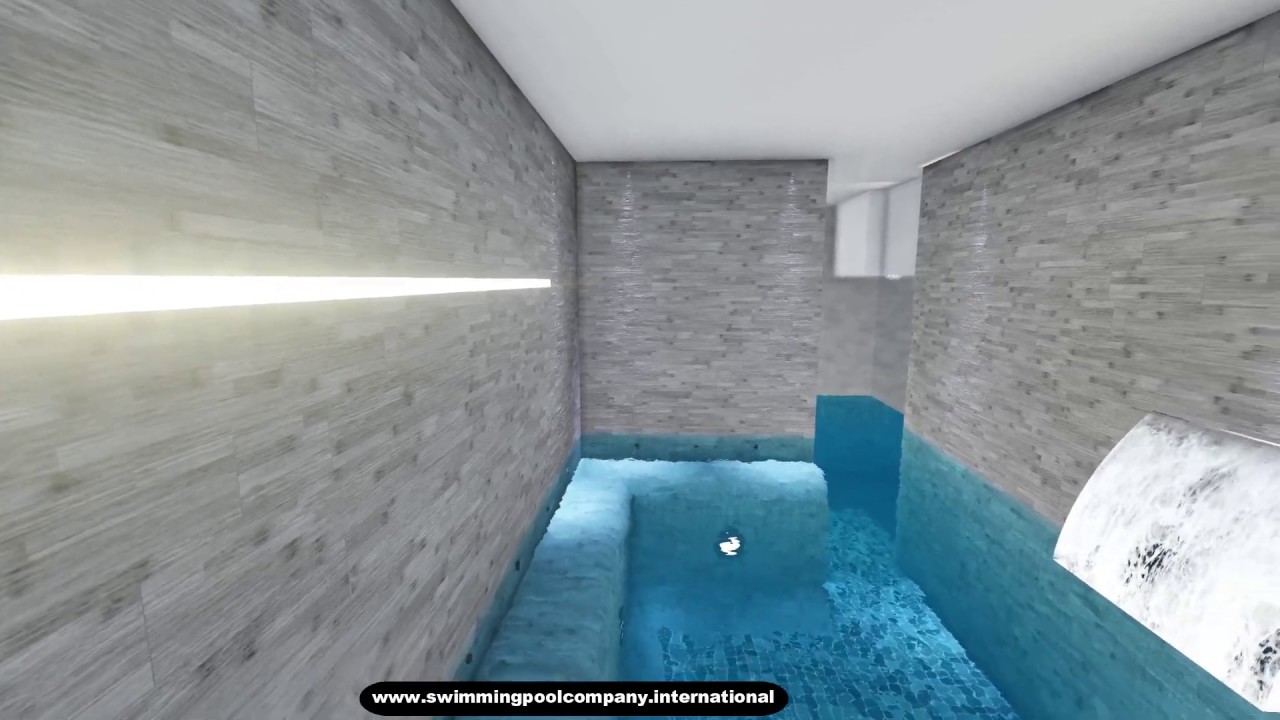 Basement Swim Spa + Gym + Sauna