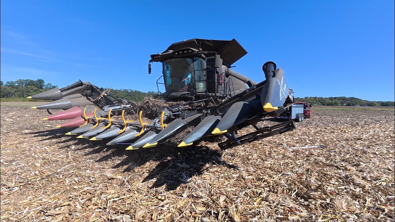 Уборка кукурузы со скоростью 6 миль в час с помощью комбайна Fendt