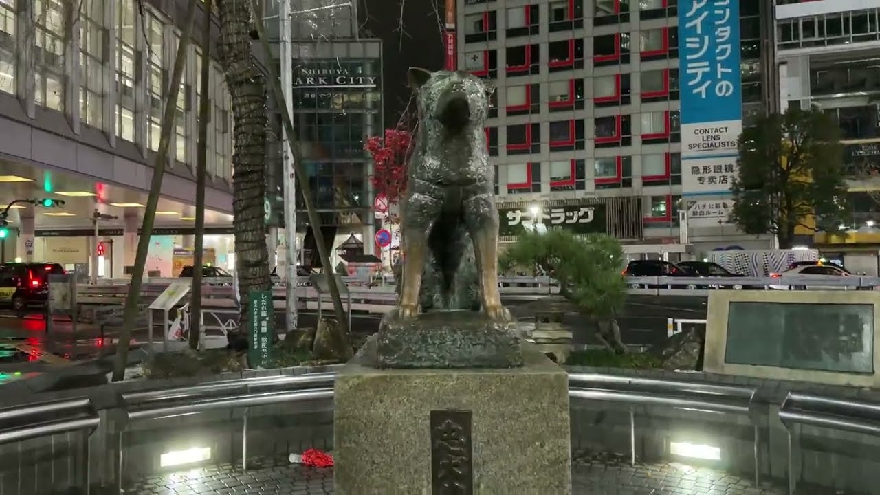 東京 渋谷 宿泊した東急REIホテルから渋谷駅まで深夜に散歩する