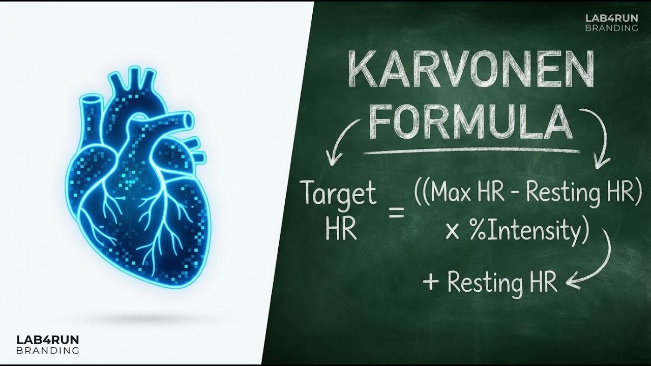 Heart Rate Reserve: The Karvonen Formula Explained
