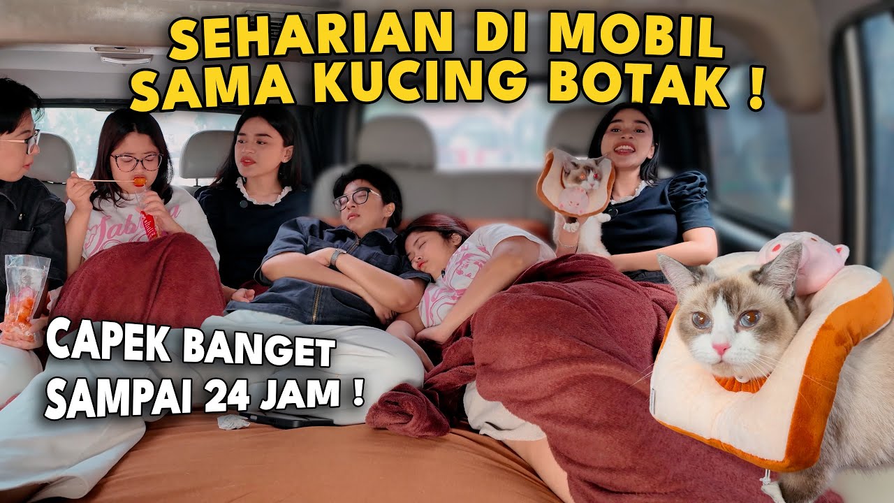 SEHARIAN DI MOBIL SAMA KUCING BOTAK!