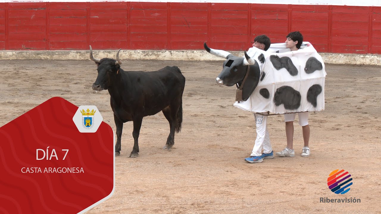 Fiestas de Cascante Día 7 Casta Aragonesa