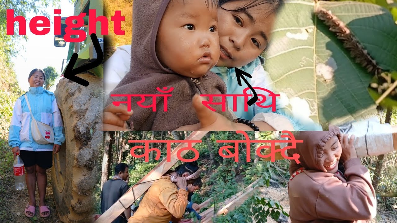junglema bato khojdai सिखै पुगिम हामी #suscribe #Zee Bu vlogs