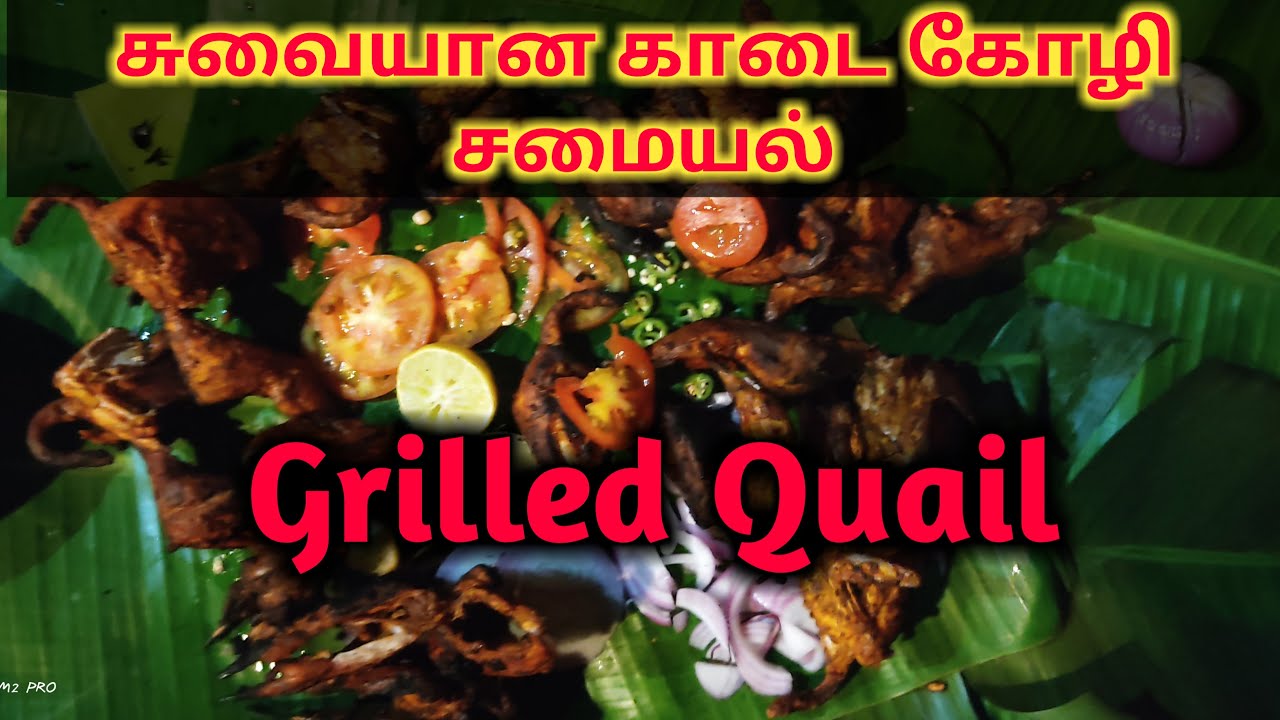 Grilled Quail | வறுக்கப்பட்ட காடை | Tasty 15 Grilled Quail | Chicken Dinner
