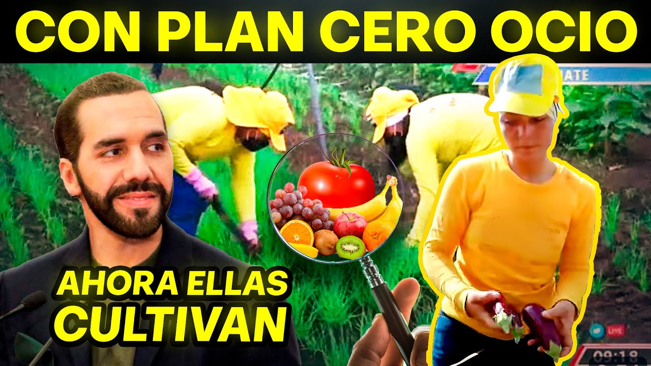 👉¡MIRA COMO Bukele REHABILITA a Las MUJERES PRIVADAS de Libertad!😱