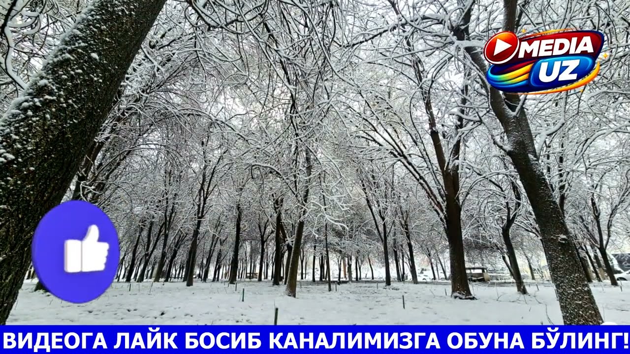 21-28 МАРТ КУНЛАРИ ОБ-ХАВО ПРОГНОЗИ | УЗГИДРОМЕТ ОГОХЛАНТИРДИ