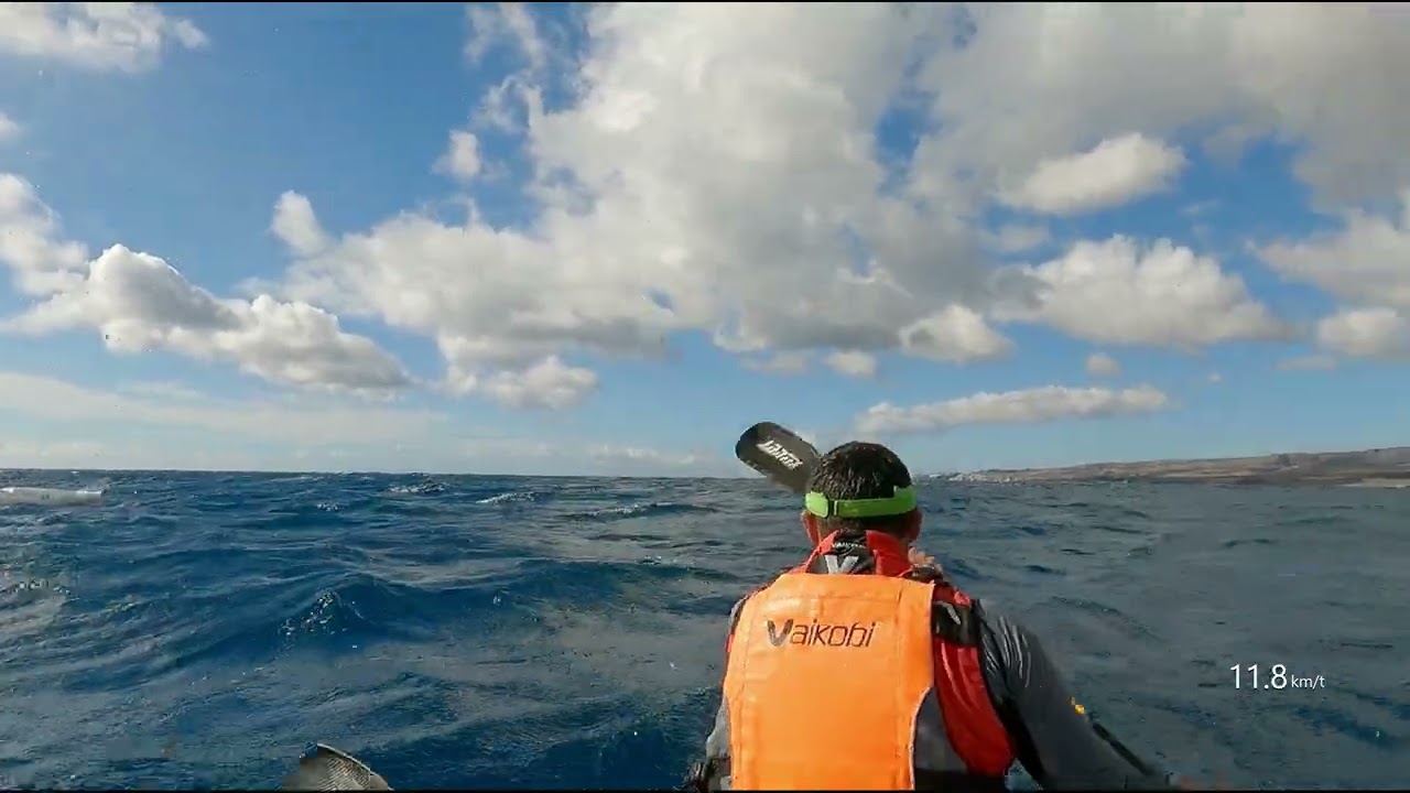 Gran Canaria - Livingsea - Full downwind