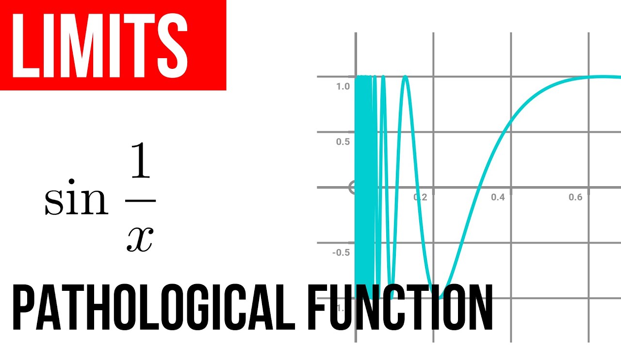 1.8 Limits pathological case sin(1/x)