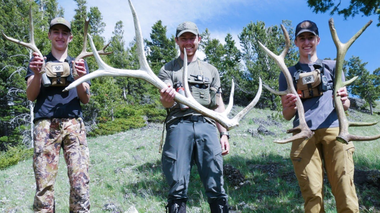 Stacking Shed Antlers with Friends
