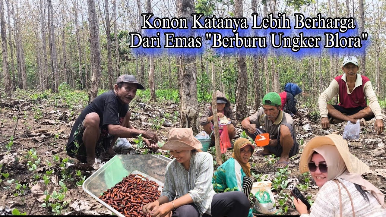 Blusukan Pedalaman Hutan Demi 