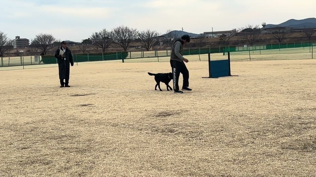 ＪＫＣ高知クラブ訓練競技会