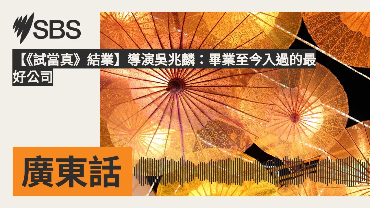 【《試當真》結業】導演吳兆麟：畢業至今入過的最好公司 | SBS Cantonese - SBS廣東話節目