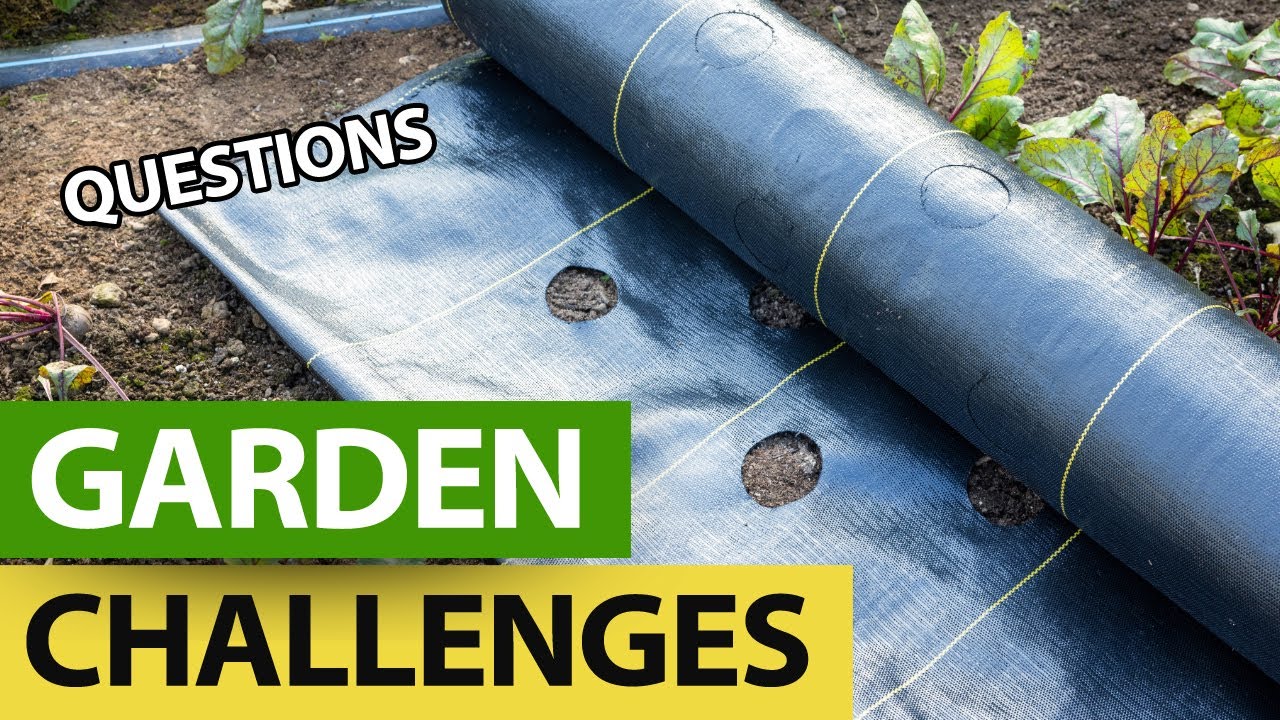 Garden Disease and Plastic Ground Fabric DANGERS?