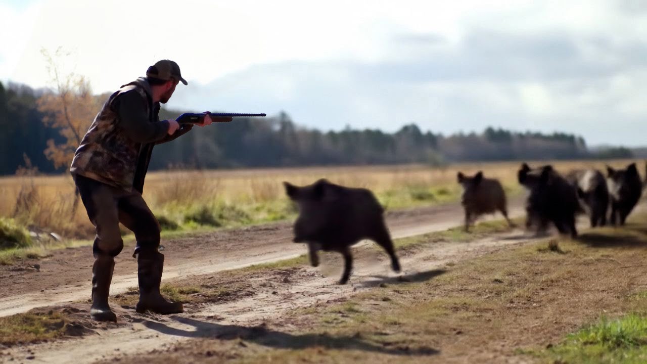 Top 10 Wild Boar Herd Ambushes &ndash; Real Hunting Footage!-PART 3
