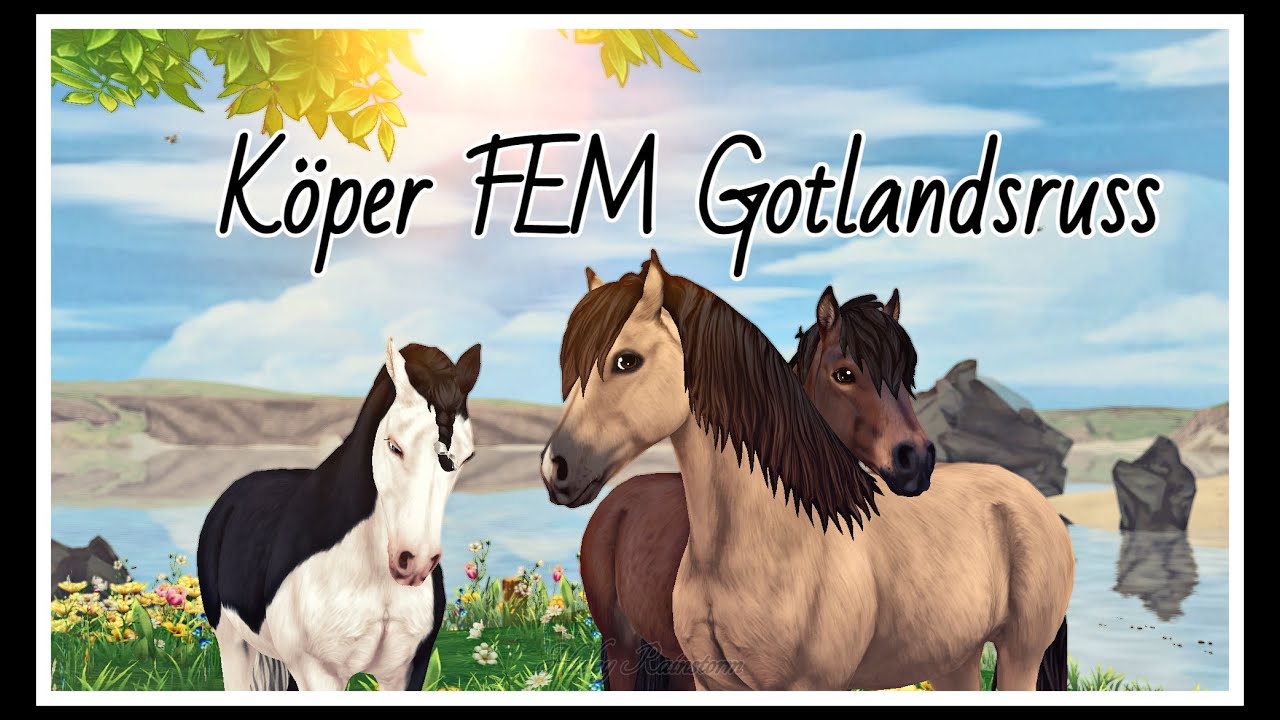 Köper FEM gotlandsruss med Nemo och Kenny