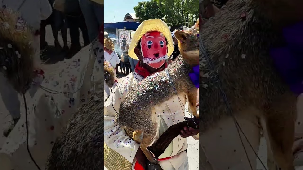 El Baile del Mapache - Baile del Carnaval 