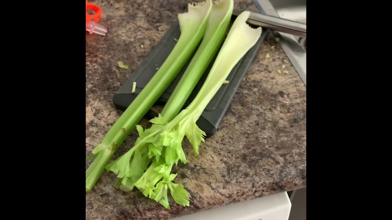 Celery Juicing using a Ninja Blender