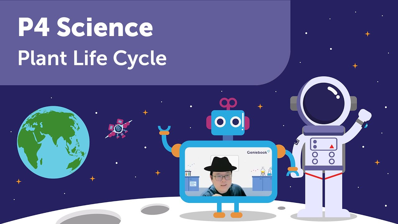 Plant Life Cycle 2 | P4 Science | Learn PSLE Primary 4 Science with Geniebook