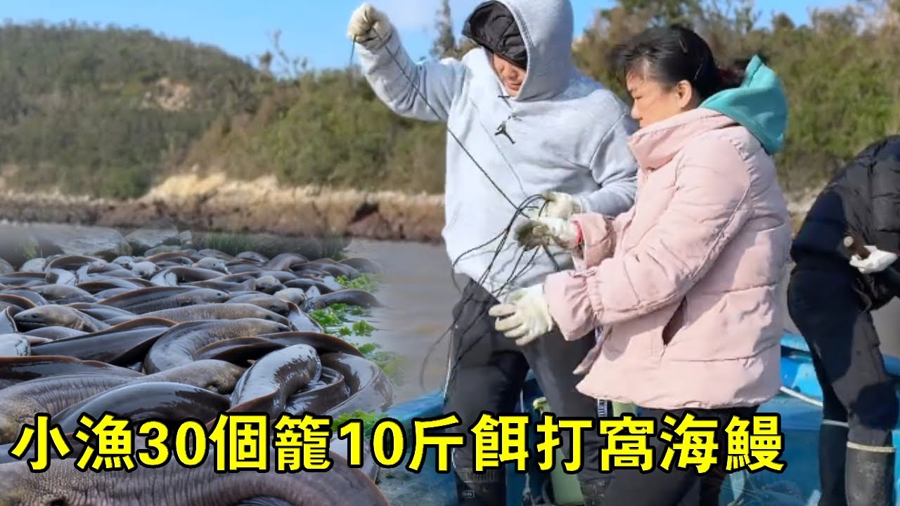 30個籠10公斤餌打窩，遇大風浪丟掉5籠，幸好豐收海鰻賺回本錢【漁小仙】