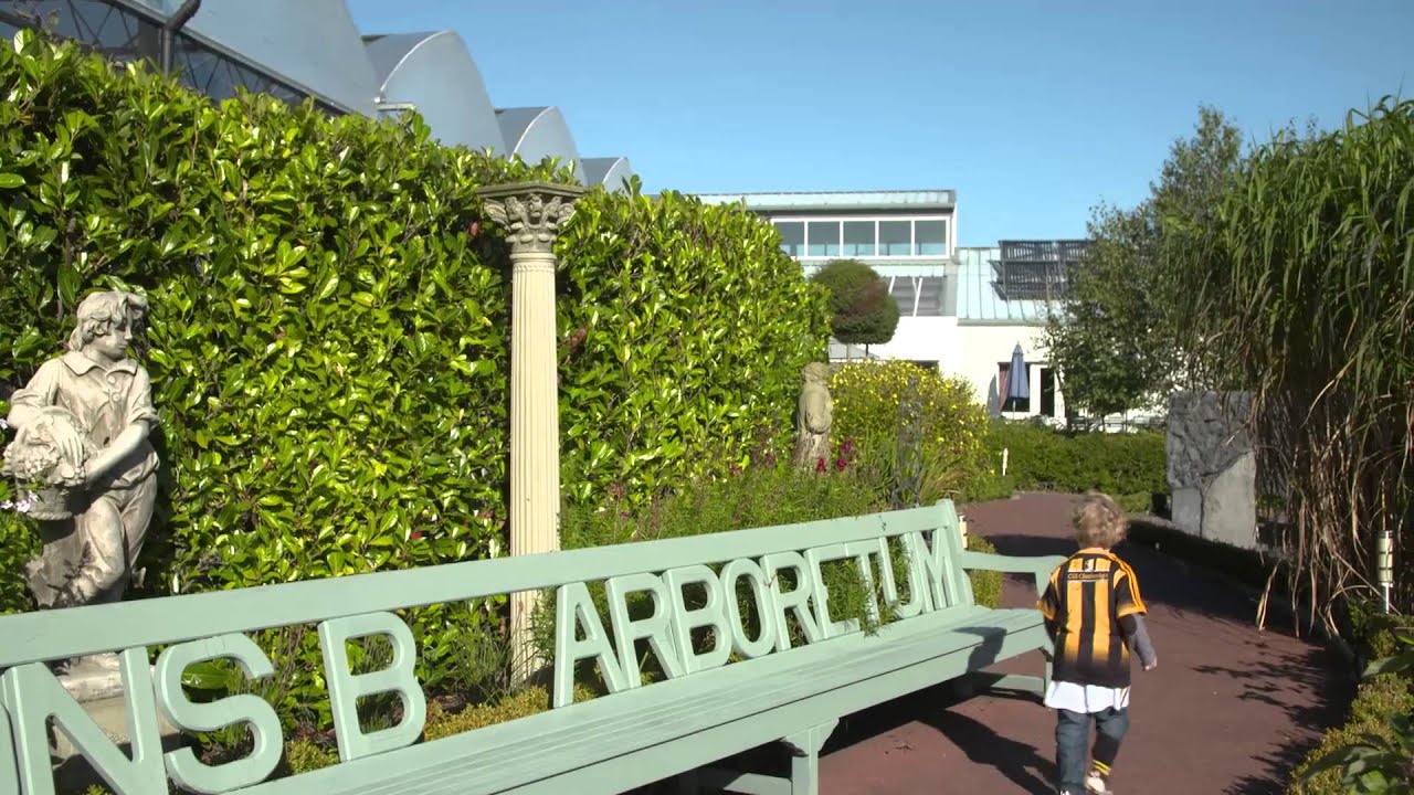 Business Leader asks 'Why not Carlow'?