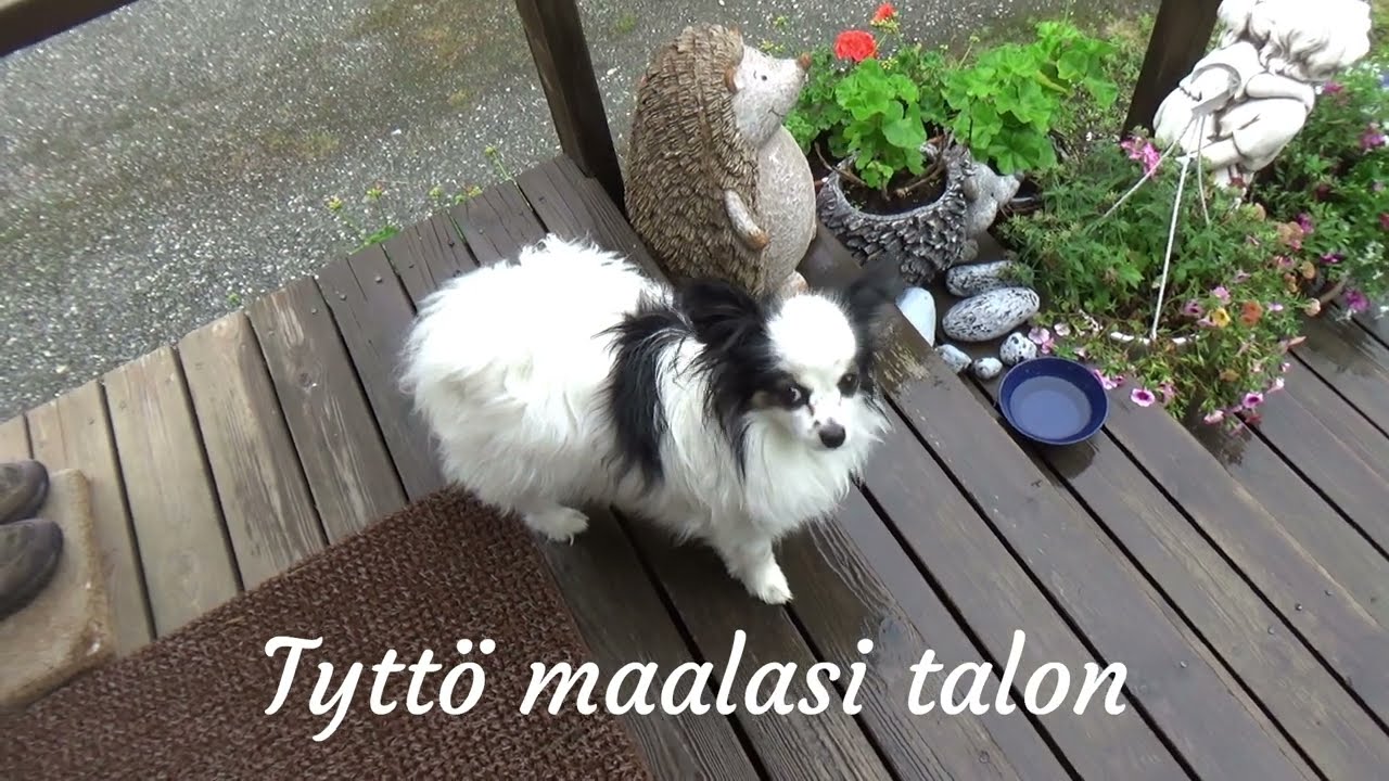 Tyttö maalasi talon