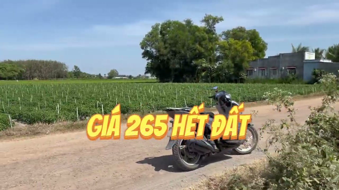 Đất giá rẻ 5*46 full Thỗ cư giá 265tr ấp long cường xã Long Khánh huyện bến cầu Tây ninh 0849693339