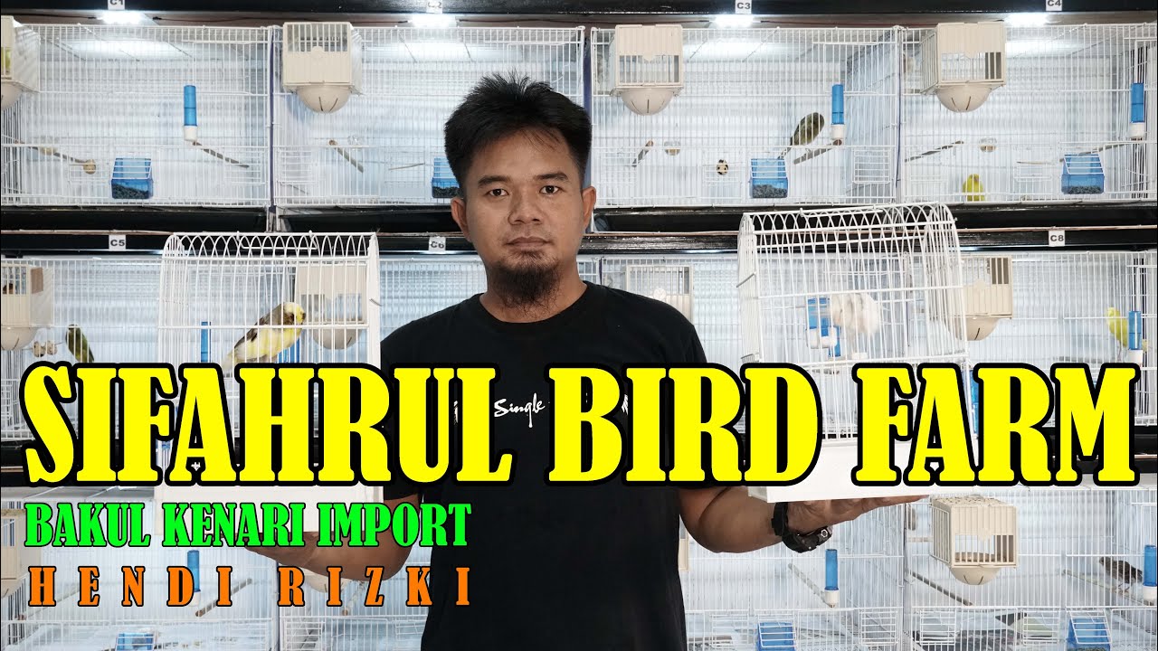 BAKUL KENARI IMPORT ( BEKASI )