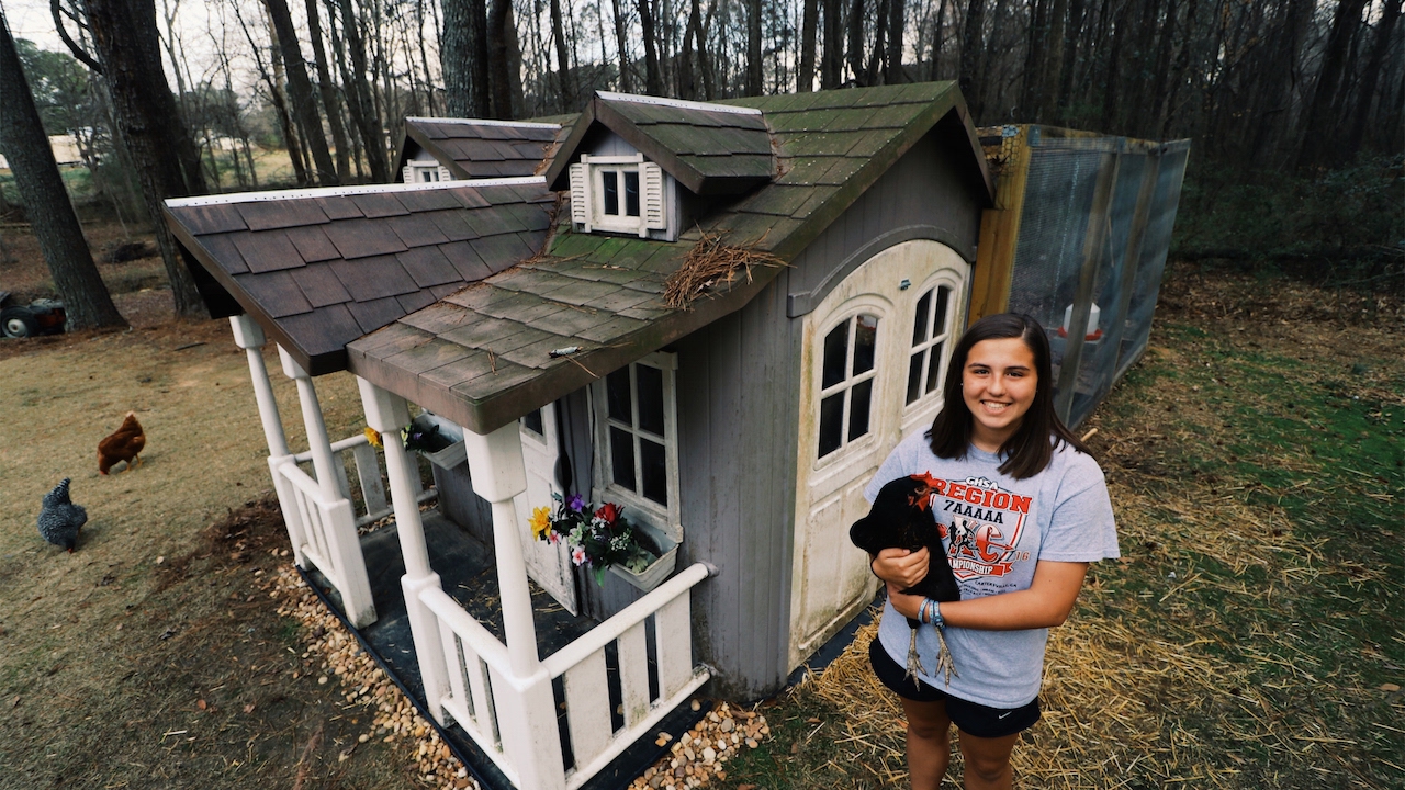15 Year Old Turns Playhouse Into Chicken Coop