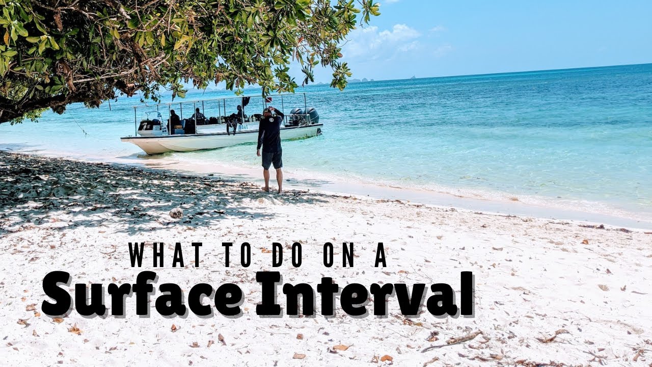 What to do During Your Surface Interval