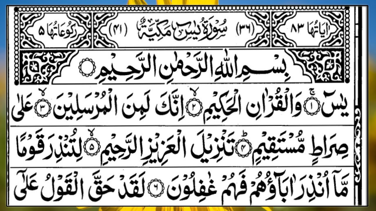 Surah Yasin | Surah Rahman (HD) |🌿 Full Tilawat  | Daily Morning | Alqama Naziri Official