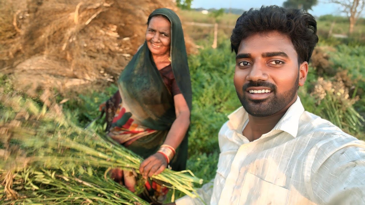 Mummy Ke Sath Khet Mein Sarson Kaatne Aa Gaye🌾🤩