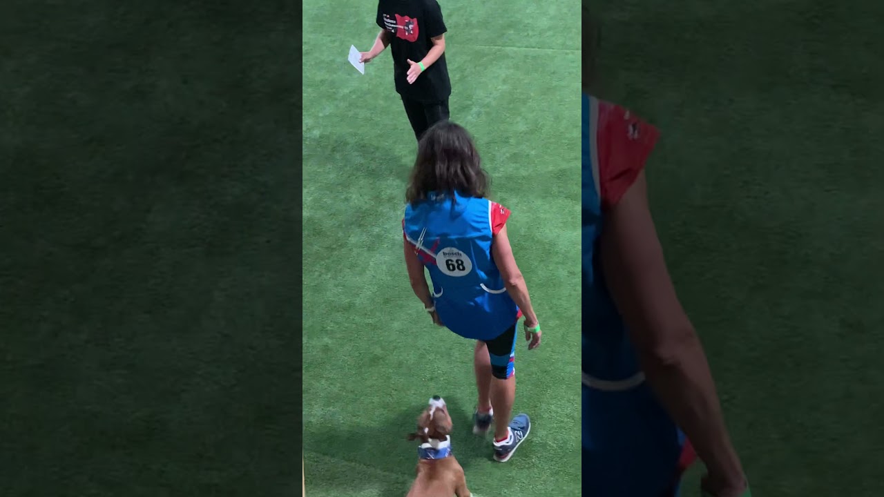 WCH obedience 2021 - Wizard Funny Macy Gray - staffordshire bull terrier - part 1.