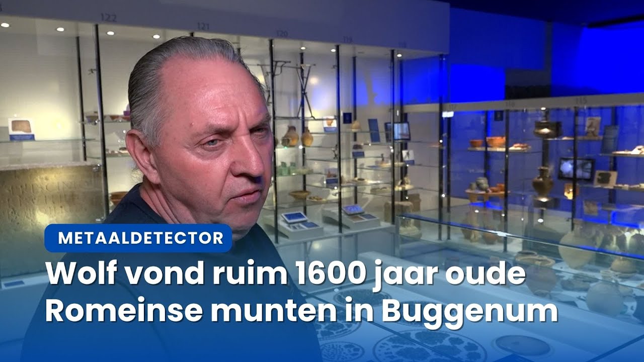 Wolf vond 1600 jaar oude Romeinse munten met zijn metaaldetector | VMLNieuws