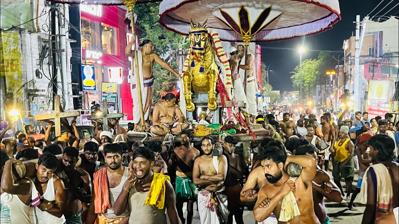 Kuthirai Vahana Yesal kanchi Sri Varadharaja Perumal Brahmothsavam Day 8 Ashwa Vahana purappadu