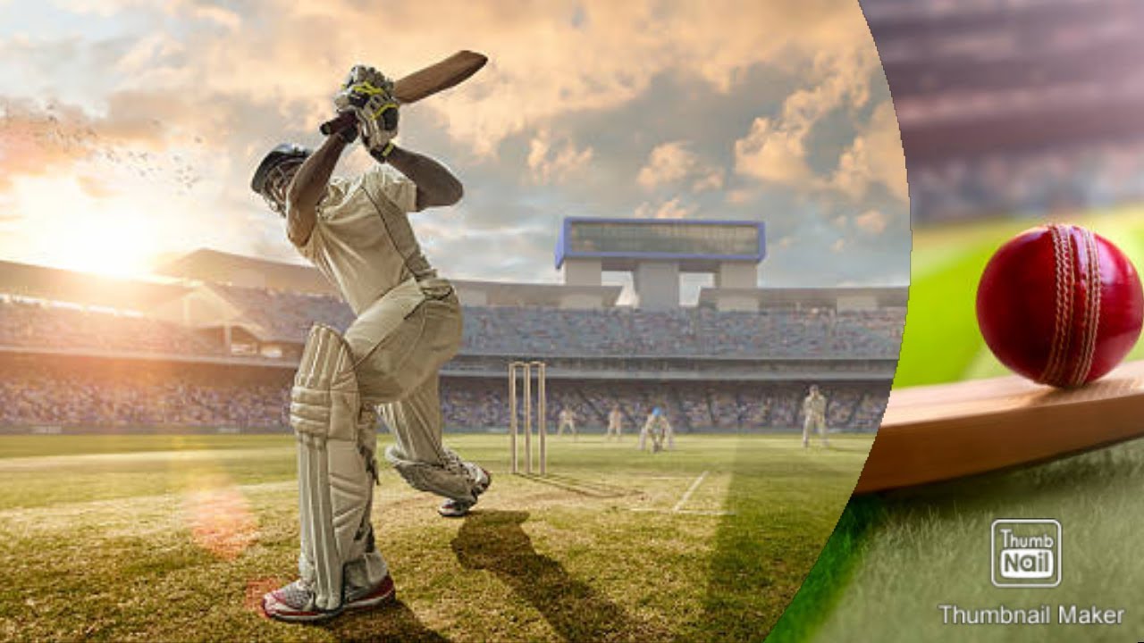 Parts of a cricket bat