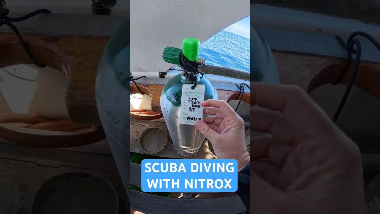 Scuba Diving With Nitrox