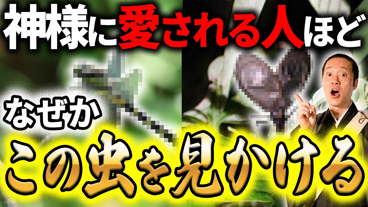 【実話】神様やご先祖様が虫の姿をして私達の前に現れ寄り添ってくれることがあります！人生が好転する虫の知らせ5選