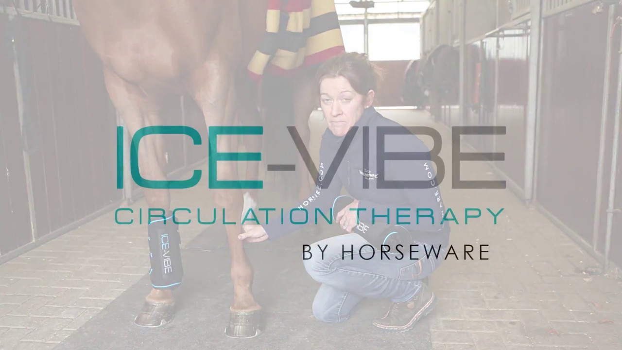 Ice Vibe Therapy- What should I use Ice Vibe Therapy for?