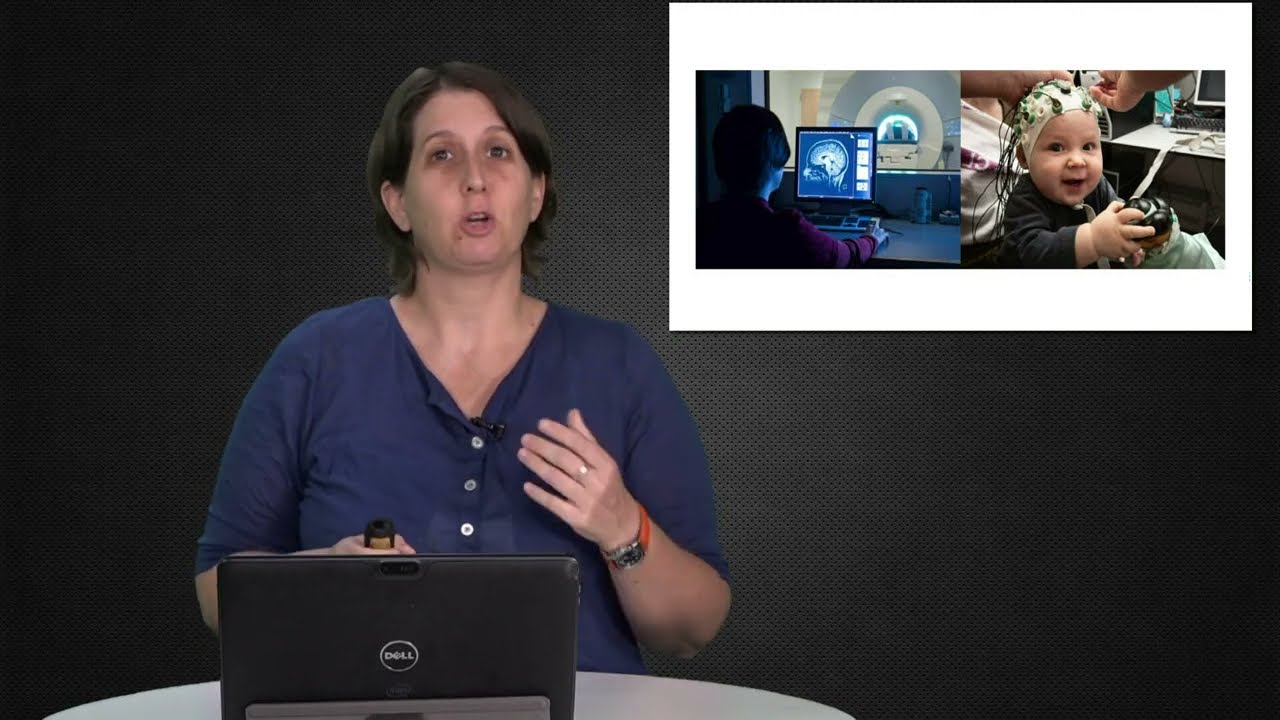 1. מבנה המוח: נוירונים וסינפסות
