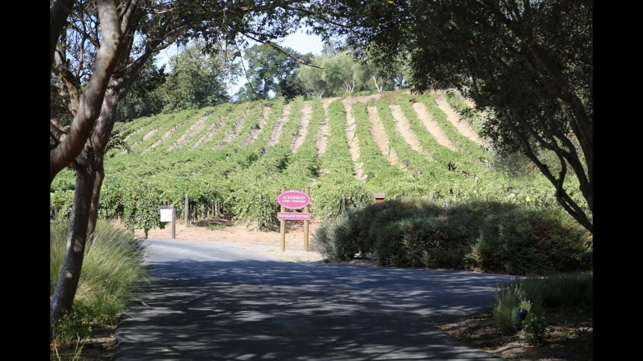 Ackerman Family Vineyards:  2018 Memoir Red Blend Wine Tasting