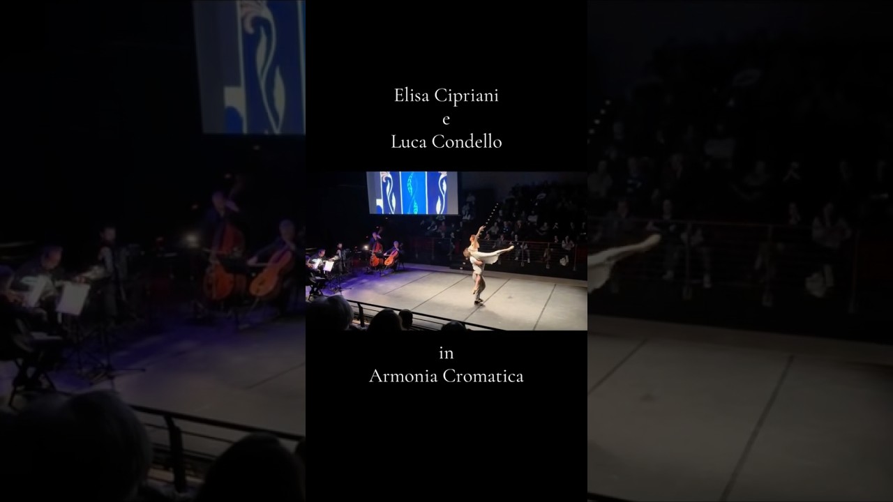 Elisa Cipriani e Luca Condello in &ldquo;Armonia cromatica&rdquo; #tango #musicaclassica #dance #classicalmusic
