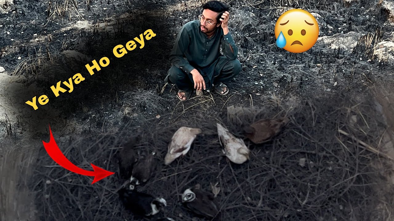 Ducks Kuen Mein Gir Gai 😱 | Ye Kya Ho geya | Aliza Sehar 