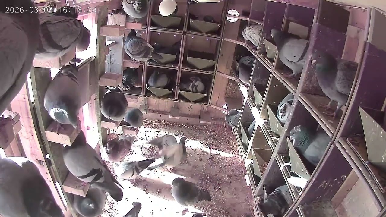 10 minutes inside my loft