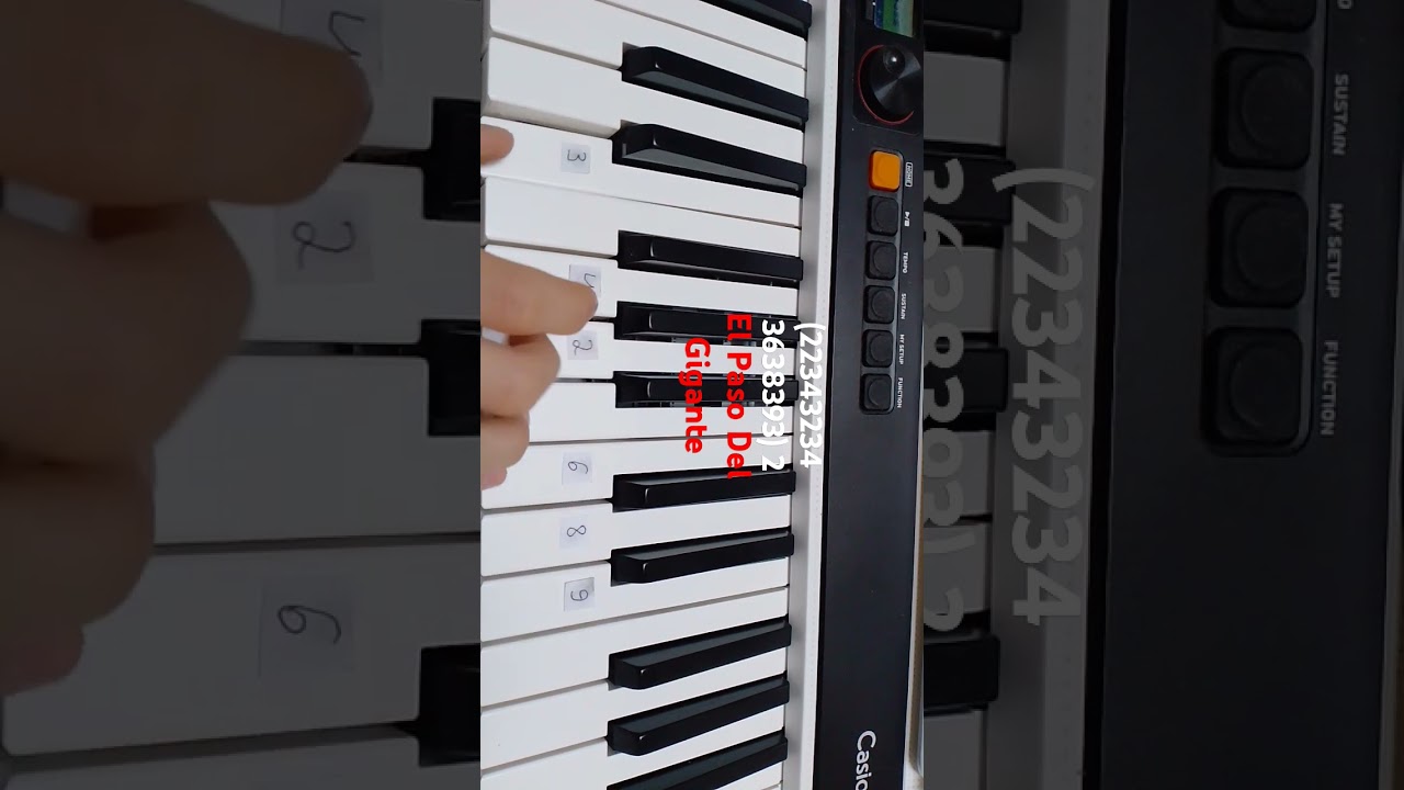 El Paso Del Gigante on piano🎹 easy-tutorial #piano #tutorial #music