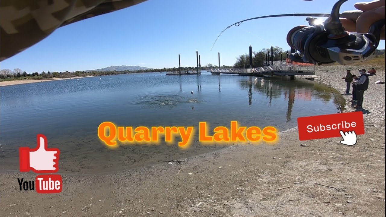Episode 97:  Fish are finally biting in the cove at Quarry Lake