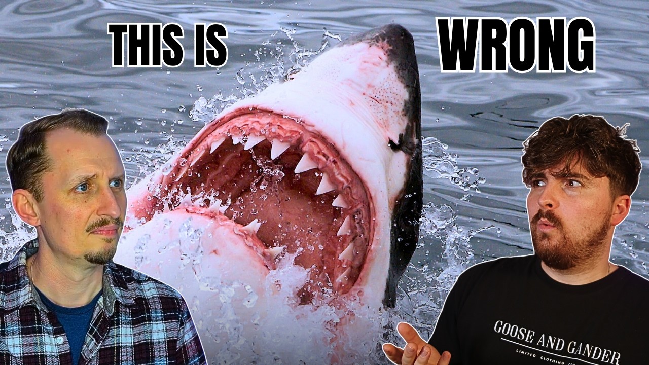 The Internet Is Wrong About Sharks (with Shark Bytes)