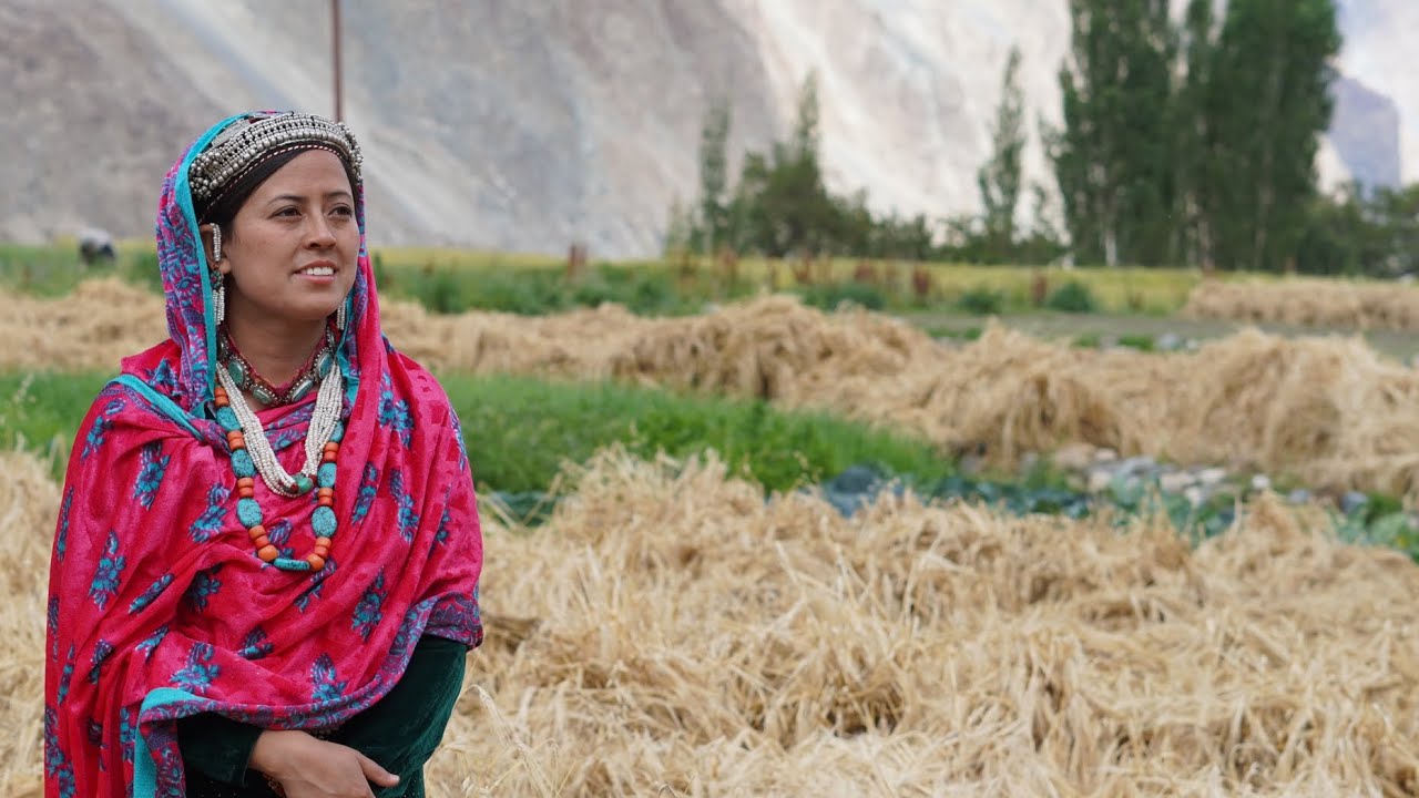 Life of Indians near POK border | Turtuk and Thang village | Ladakh India