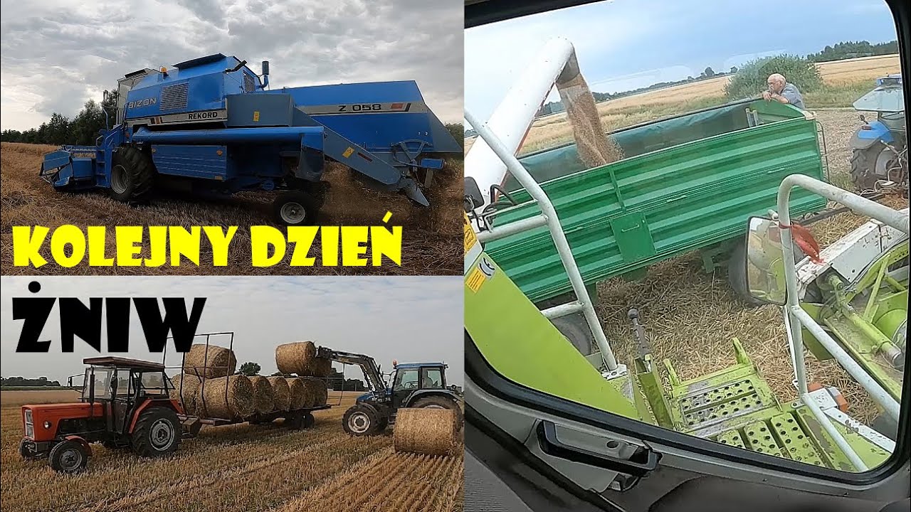 WJEŻDŻAMY W ŻYTO🌾Agro Dniówka #202😁Agro Kuzyni